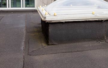 disadvantages of Ardnagrask flat roofs