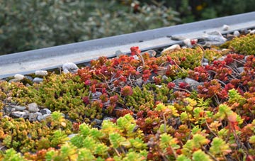 the cost of Ardnagrask green roof installation