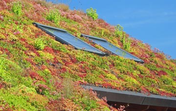 Ardnagrask living roof systems