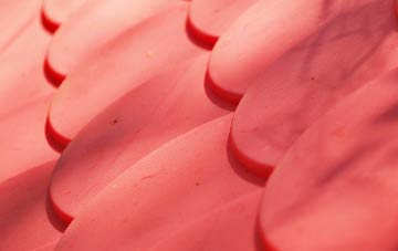 Ardnagrask plastic roof costs