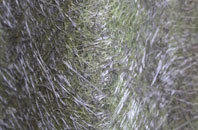 Ardnagrask fibreglass roof work